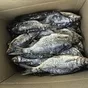 рыба из рыбинского водохранилища  в Весьегонске 2